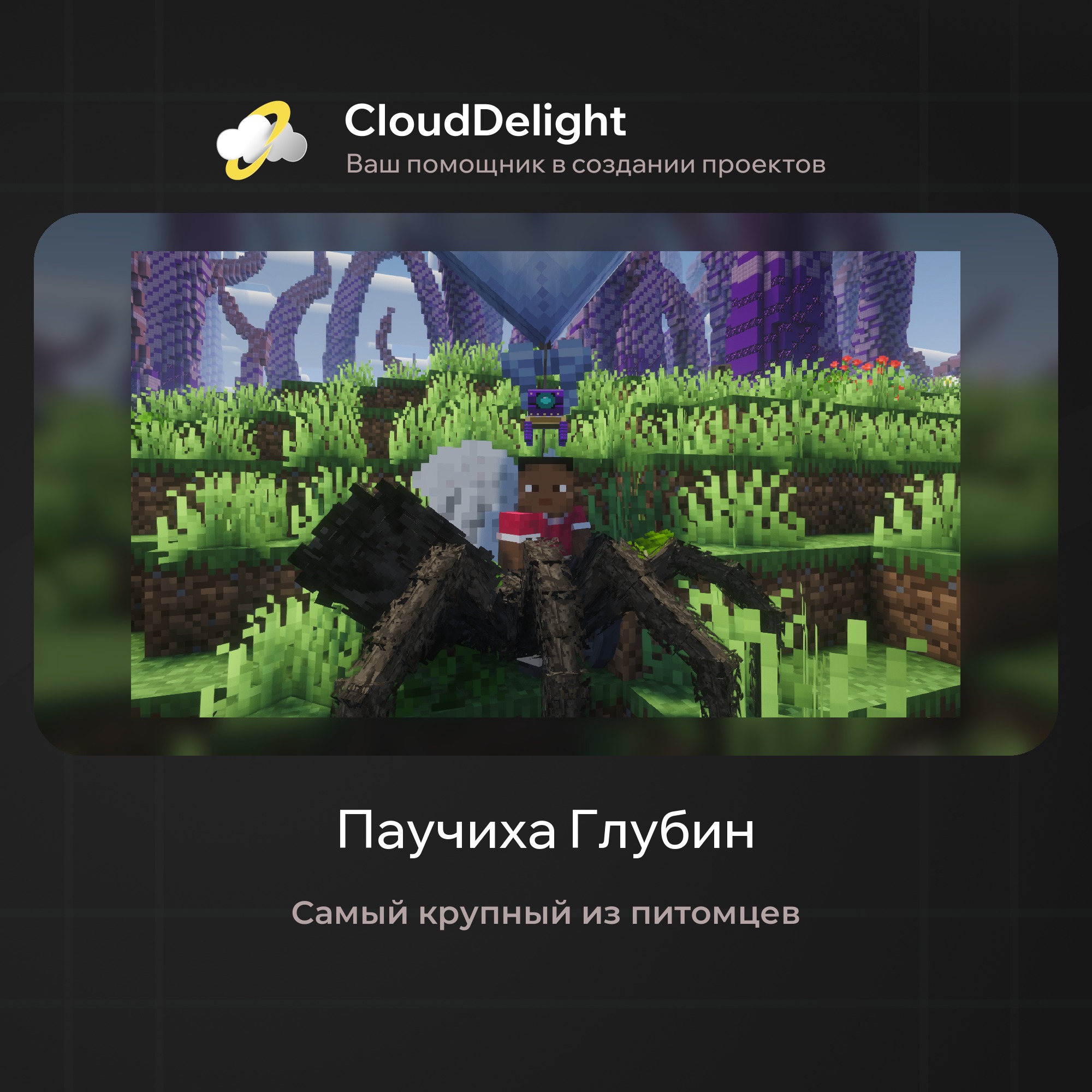 cloudultraanarchyplus